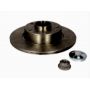 Brake disk with bearing