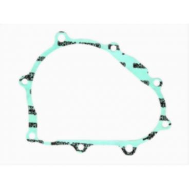 Garnitura alternator