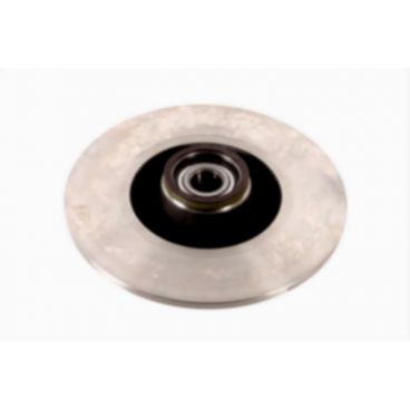 Brake disk with bearing