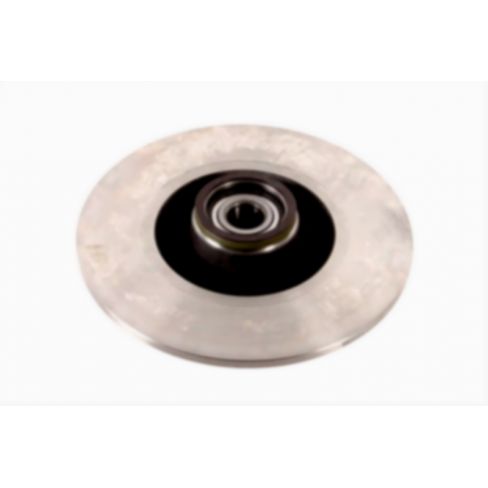 Brake disk with bearing
