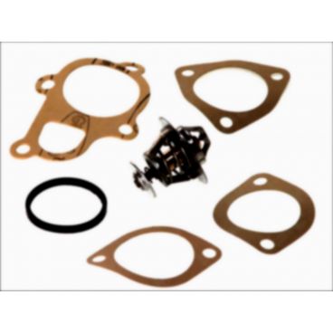 Termostat racire