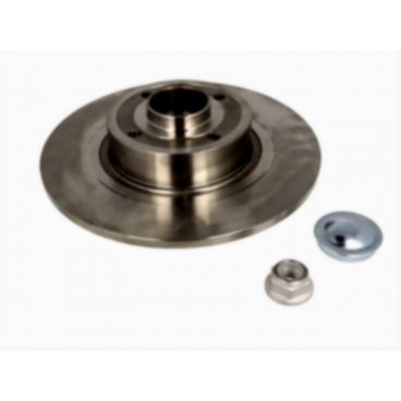 Brake disk with bearing