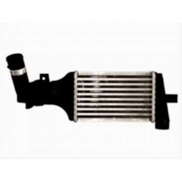 Radiator aer