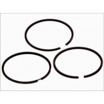 Segmenti piston
