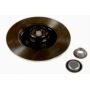 Brake disk with bearing