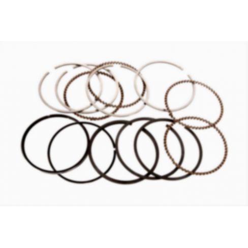 Segmenti piston