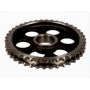 Pinion ax cu came/roata dintata