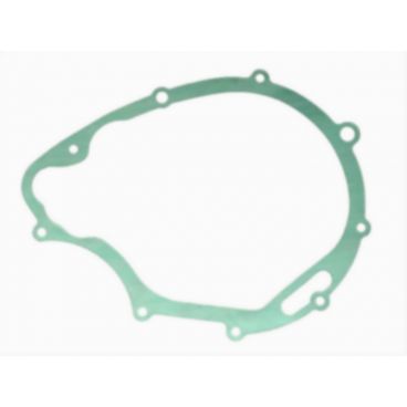 Garnitura alternator