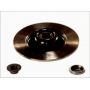 Brake disk with bearing