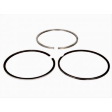 Segmenti piston