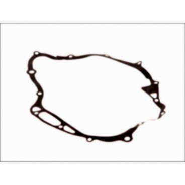 Garnitura alternator