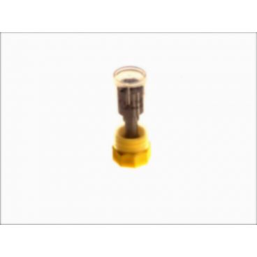 Duza injector