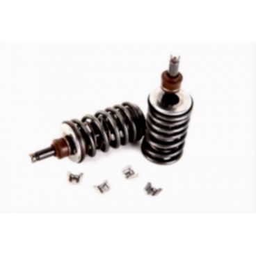 Supape/pastile reglaj