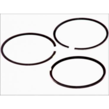 Segmenti piston