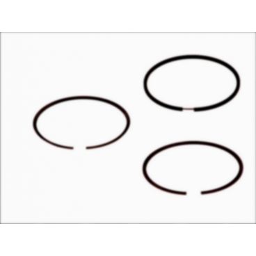 Segmenti piston