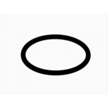 Gearbox o-ring