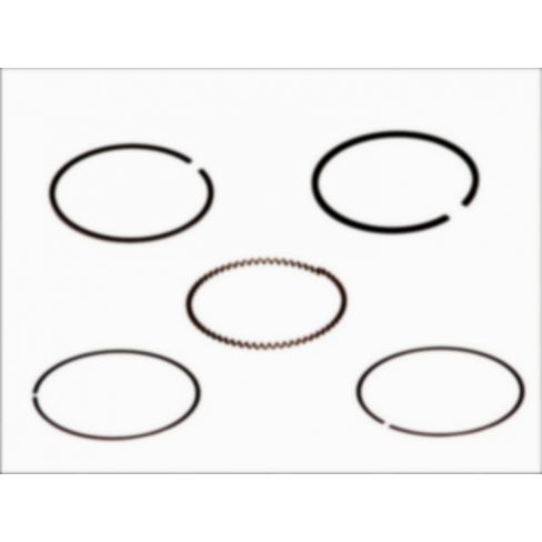 Segmenti piston