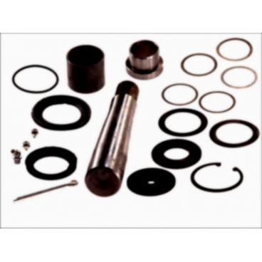 Kit reparatie pivot