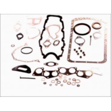 Set complet garnituri, motor