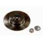 Brake disk with bearing