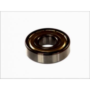 Rulment alternator