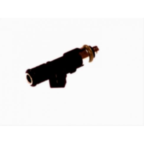 Injector combustibil