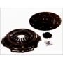 Clutch kit with bearing
