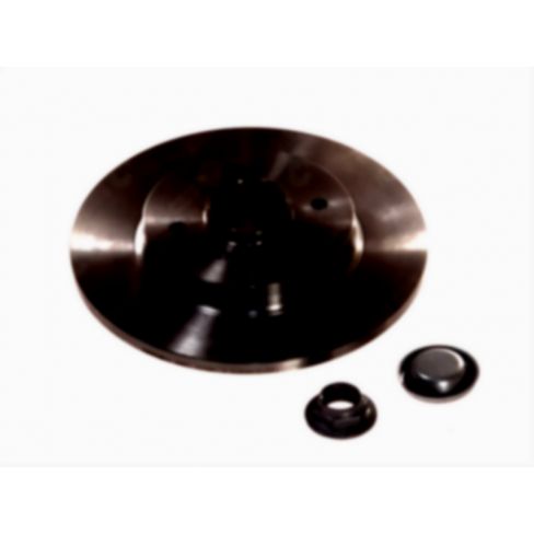 Brake disk with bearing