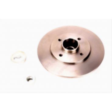 Brake disk with bearing