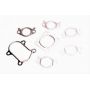 Set complet garnituri, motor