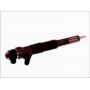 Injector electromagnetic CR