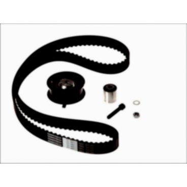 Kit distributie (curea+role)