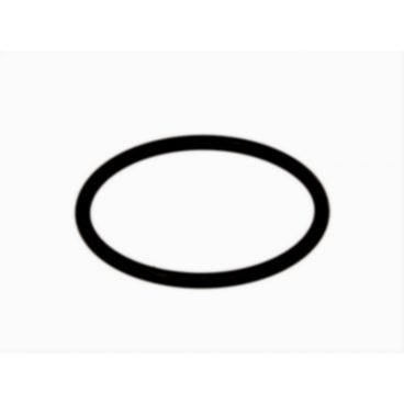 Gearbox o-ring