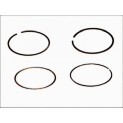 Segmenti piston
