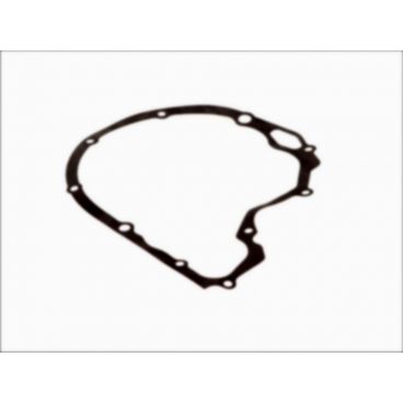 Garnitura alternator