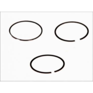 Segmenti piston