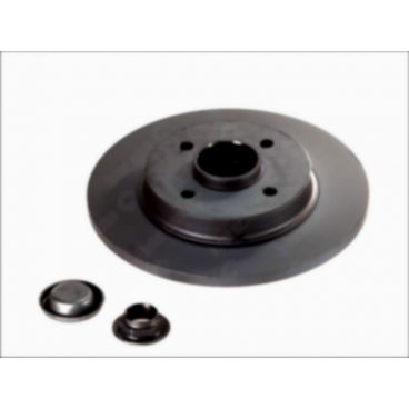 Brake disk with bearing