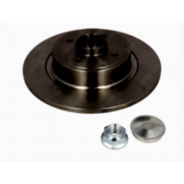 Brake disk with bearing