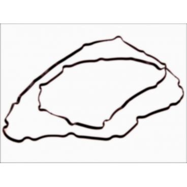 Garnitura capac culbutor