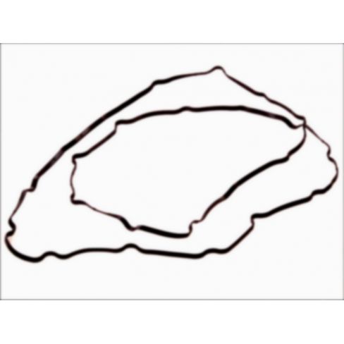 Garnitura capac culbutor