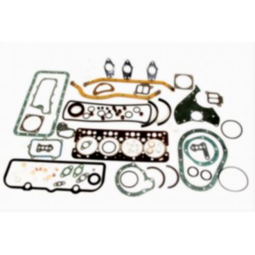 Set complet garnituri, motor