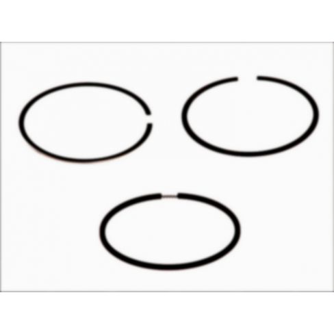 Segmenti piston