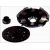 Clutch kit with bearing