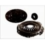 Clutch kit with bearing