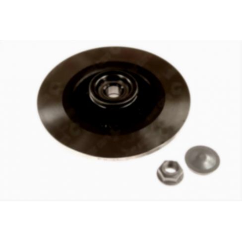 Brake disk with bearing