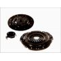 Clutch kit with bearing Clutch kit with bearing