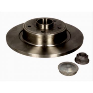 Brake disk with bearing
