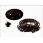 Clutch kit with bearing