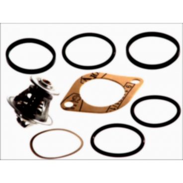 Termostat racire