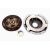 Clutch kit with bearing